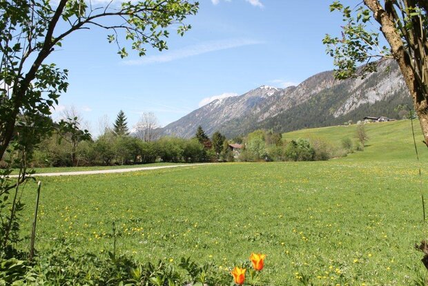 Hotel Schlossblick - Foto Blick ins Schneerosental von der Gartenterasse