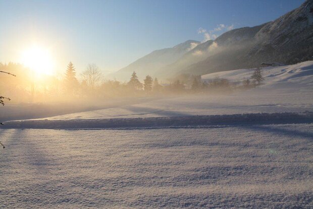 Blick ins Schneerosen Tal von unserer Gartenterasse